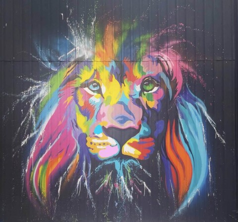 Graffitie muur leeuw
