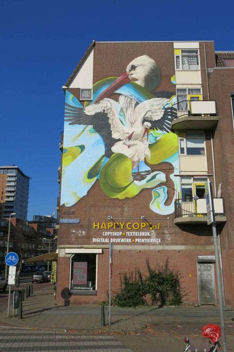 Muurschildering Den Haag Ooievaar MooieMuur