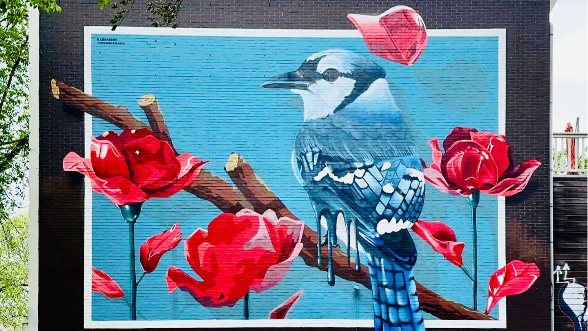 Street art met vogel en rode klaprozen aan de Sarphatistraat in Amsterdam
