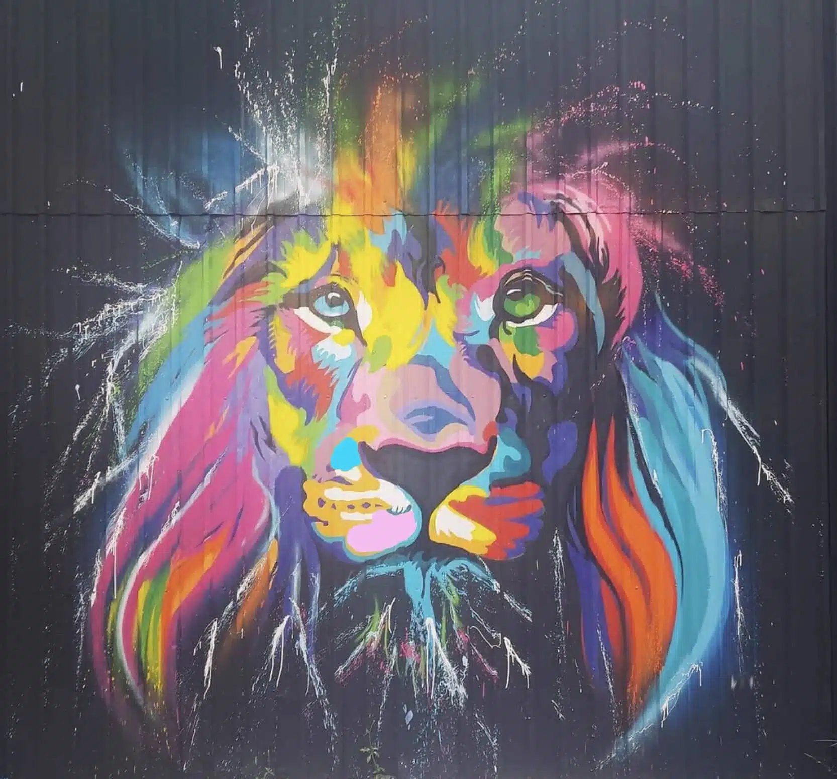 muurschildering leeuw mooiemuur
